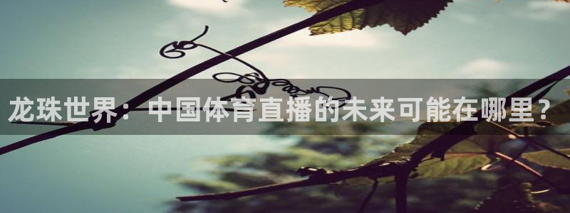 龙珠世界：中国体育直播的未来可能在哪里？