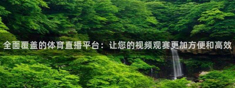全面覆盖的体育直播平台：让您的视频观赛更加方便和高效