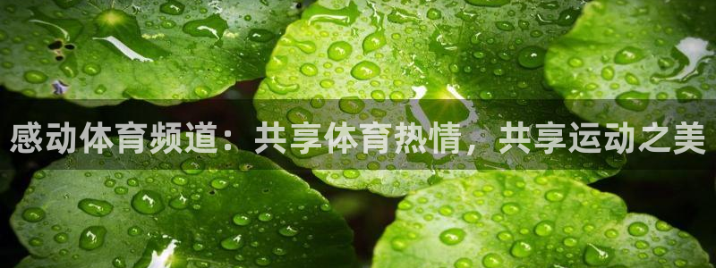 感动体育频道：共享体育热情，共享运动之美