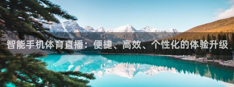 智能手机体育直播：便捷、高效、个性化的体验升级