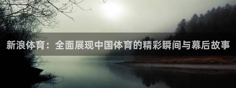 新浪体育：全面展现中国体育的精彩瞬间与幕后故事