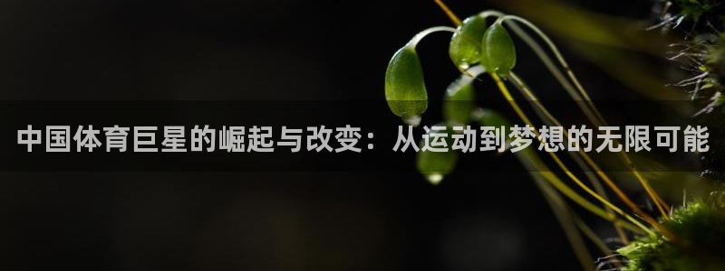 中国体育巨星的崛起与改变：从运动到梦想的无限可能