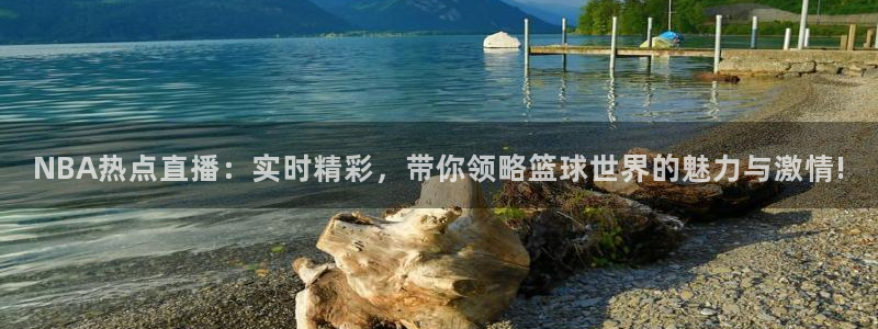 NBA热点直播：实时精彩，带你领略篮球世界的魅力与激情!